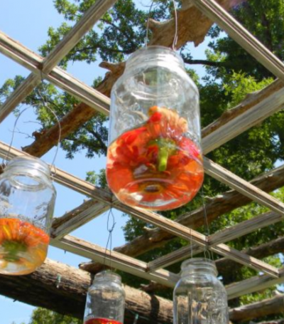 hanging mason jars with flowers and water in them