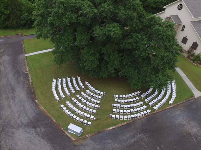 large amount of white wedding chairs in front of large tree.